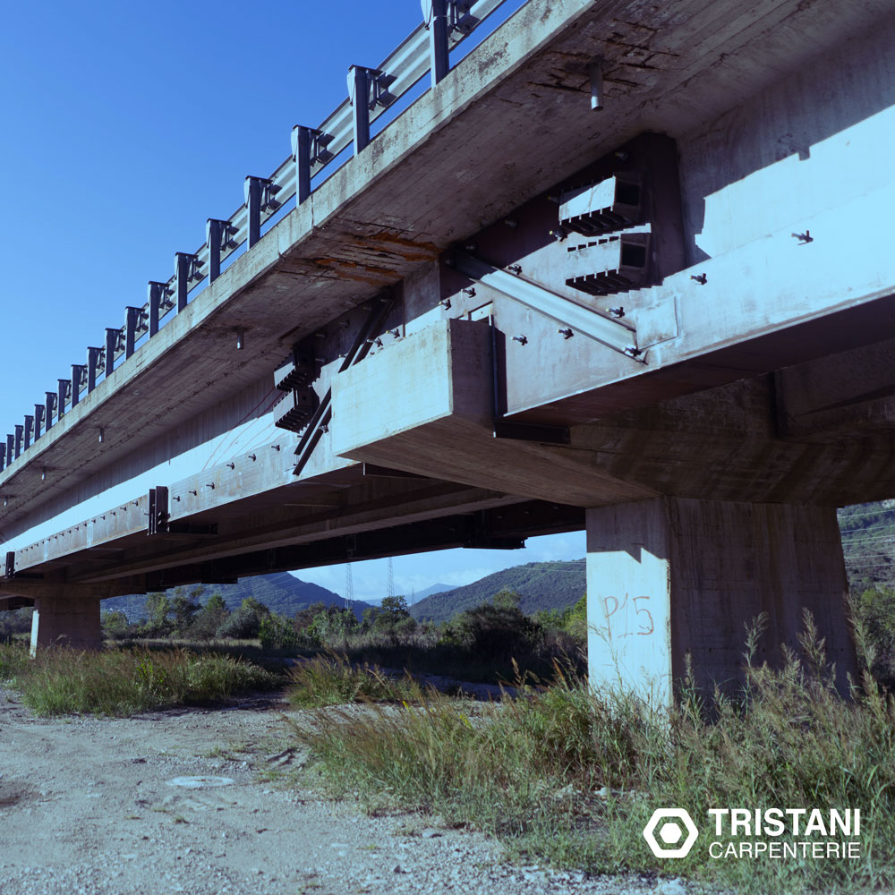 Adeguamento Sismico Ponte Trignina
